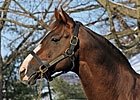 Checking the Sire List...Twice Checking the Sire List...Twice