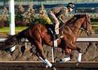 Ami's Flatter Heads Fred W. Hooper Stakes Ami's Flatter Heads Fred W. Hooper Stakes