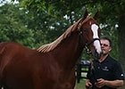Fasig-Tipton July Yearling Sale Recap Fasig-Tipton July Yearling Sale Recap