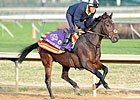 Breeders' Cup Chat: Ten Longshots to Consider Breeders' Cup Chat: Ten Longshots to Consider