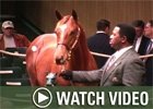 BloodHorseNOW.com Video: Keeneland November Sale - Day 1 Wrap BloodHorseNOW.com Video: Keeneland November Sale - Day 1 Wrap