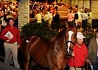 Give Keeneland's Select Sessions a B+ Give Keeneland's Select Sessions a B+