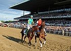 American Pharoah wins the Belmont Stakes.
<br><a target="blank" href="http://photos.bloodhorse.com/TripleCrown/2015-Triple-Crown/Belmont-Stakes-147/i-ZxnBRDT">Order This Photo</a>