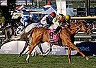 Hangin' With Haskin: Wise Dan Great, Period Hangin' With Haskin: Wise Dan Great, Period