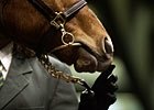 Gross and Average Set Records at New York Mixed Sale Gross and Average Set Records at New York Mixed Sale