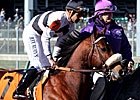 Rank the 25 Most Intriguing Horses & People Rank the 25 Most Intriguing Horses & People