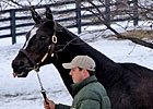 Through The Lens: Zenyatta at Lane's End Through The Lens: Zenyatta at Lane's End