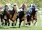 National Institute for Occupational Safety and Health Studies Jockeys National Institute for Occupational Safety and Health Studies Jockeys