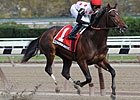 Florida Derby - Predict the Order of Finish Florida Derby - Predict the Order of Finish