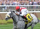Hard Not to Like tries for her fourth grade I win in the Matriarch Stakes.<br><a target="blank" href="http://photos.bloodhorse.com/AtTheRaces-1/At-the-Races-2015/i-G7khmJN">Order This Photo</a>