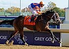 Kentucky Derby Trail: Derby ProMo Kentucky Derby Trail: Derby ProMo