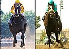 The Race for Horse of the Year The Race for Horse of the Year