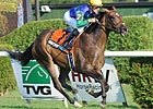 Saratoga Diary: Maidens No More Saratoga Diary: Maidens No More
