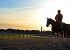 Slideshow: 2013 Belmont Stakes Week Slideshow: 2013 Belmont Stakes Week