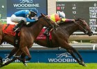 Go Blue Or Go Home wins the Highlander Stakes.