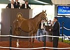 5 Best Things About 2010's Major 2YO Sales 5 Best Things About 2010's Major 2YO Sales