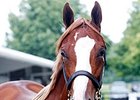 Hip 317, a filly by Tapit, brought $500,000 at the Fasig-Tipton Kentucky July yearling sale.