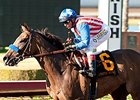 Los Alamitos Announces Spring Stakes Schedule Los Alamitos Announces Spring Stakes Schedule