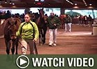 Video: Keeneland Nov - Day 3 Wrap Video: Keeneland Nov - Day 3 Wrap