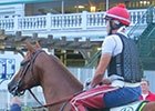 Haskin's Derby Report: Morning at The Downs Haskin's Derby Report: Morning at The Downs