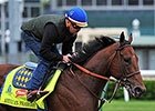 MarketWatch: American Pharoah's Stud Value MarketWatch: American Pharoah's Stud Value