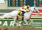 White Filly Beautiful Devil Carries Tradition White Filly Beautiful Devil Carries Tradition