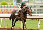 Hard Aces wins the 2015 Gold Cup.