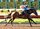 Fantastic Style rolls to victory in the Great Lady M Stakes.