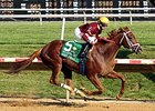 Sheer Drama Powerful in Delaware Handicap Win Sheer Drama Powerful in Delaware Handicap Win