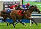 Are You Kidding Me wins the Nijinsky Stakes.