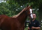 Fasig-Tipton July Yearling Sale Recap Fasig-Tipton July Yearling Sale Recap