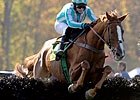 Steeplechase Spring Season Begins March 20 Steeplechase Spring Season Begins March 20