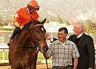 Featured Horse Profile: Evening Jewel Featured Horse Profile: Evening Jewel