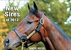 Slideshow: New Sires of 2012 Slideshow: New Sires of 2012