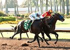 Los Alamitos to Run Derby in September Los Alamitos to Run Derby in September