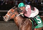 Cale's Gold, 2015 sale topper, winning the D.S. Shine Young Futurity