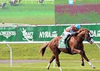 Force the Pass wins the 2015 Belmont Derby Invitational.