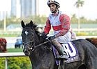 Slideshow: Donn Handicap Day Slideshow: Donn Handicap Day
