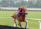 Main Sequence
<br><a target="blank" href="
http://photos.bloodhorse.com/AtTheRaces-1/At-the-Races-2015/i-RTfqm74">Order This Photo</a>