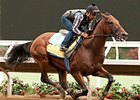 American Pharoah at Del Mar July 28.