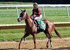 Sheer Drama Returns to Work Tab Sheer Drama Returns to Work Tab