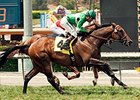 Crucero wins the San Juan Capistrano.