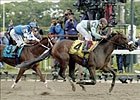 Belmont Bird Call: Destiny Denied Belmont Bird Call: Destiny Denied
