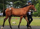 Hip 37, by Deep Impact, sold for the highest price of Y180 million ($1.46 million) July 14.