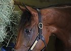 Lady Eli Making 'Remarkable Progress' Lady Eli Making 'Remarkable Progress'