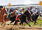 Free Handicapping Webinar Free Handicapping Webinar