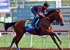 American Pharoah works at Santa Anita June 29.