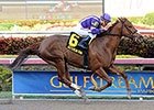 Featured Horse Profile: Heart Stealer Featured Horse Profile: Heart Stealer