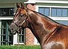 Aragorn's First Winner Scores in France Aragorn's First Winner Scores in France