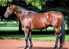 Tapizar led all first crop stallions by average, two or more sold, with five purchased at an average price of $168,000.